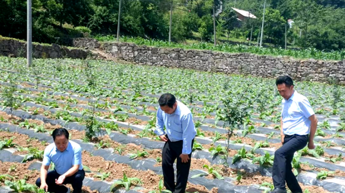 漳河源管理处：找准四个方向  推动实践活动惠民利民